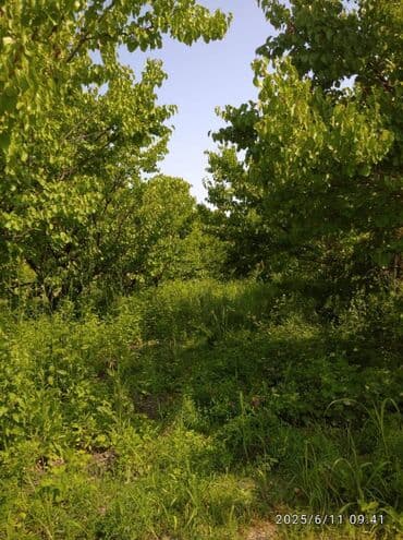 30 mine evler: 240 sot — 4