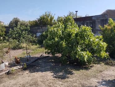 kiraye yer: 150 kv. m, 3 otaqlı, Kombi, Qaz, İşıq — 3