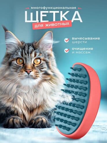 hərflərin gözəl yazılışı: 🛍️ Məhsul kartları və şəkil hazırlanması Məhsullarınız üçün — 1