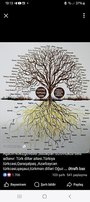 yolka sekli: Tədris posterləri – İnsan anatomiya və refleksologiya + Türk dilləri — 3
