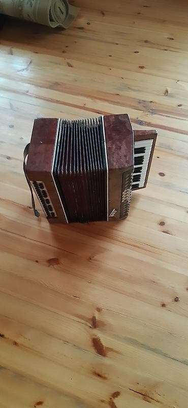 Velosiped aksesuarları: Akustik Akkordeon — 4