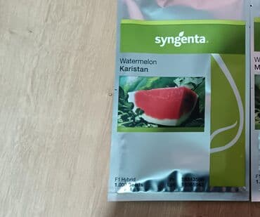 göbələk toxumu satışı: Şitil ücun qablarr qarpiz toxumlari uçun vathcapa yazn rayonlara — 15