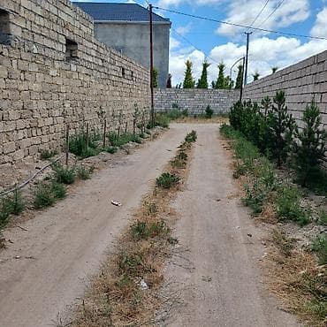 тюркан: Torpaq sahəsi – Xəzər rayonu, Hövsan şossesi yaxınlığı, Xanlar küçəsi — 5