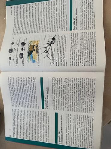 bas gitara: Məhsul: Biologiya üzrə illüstrasiyalı dərslik/kitab Xüsusiyyətlər: - — 2