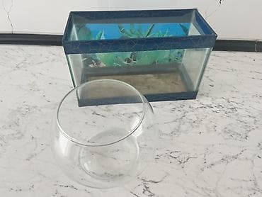 akvaryum: Dördbucaq akvarium, Boş, 6 l, Ünvandan götürmə — 1