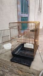 Ağızlıqlar: Qəfəslər təzədi 15-20 Azn — 1