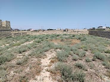 yasma: 6 sot, Tikinti, Kupça (Çıxarış) — 5