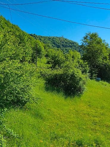 avtovaqzalda heyet evleri: 3 otaqlı, 110 kv. m, Kredit yoxdur, Yeni təmirli — 5