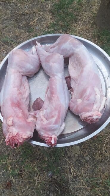 dovşan balaları: Məhsul: Təmizlənmiş dovşan cəmdəkləri Təsvir: - Şəkillərdə tam — 1