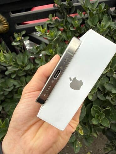 кнопочный телефон: IPhone 16 Pro — 2