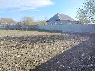 6 sot, Tikinti, Kupça (Çıxarış)