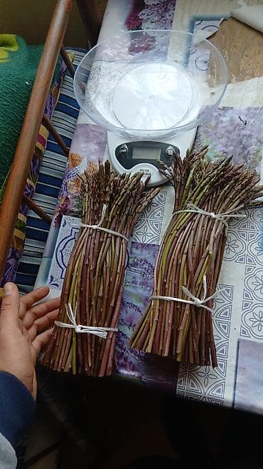 Məhsul: Təzə vəhşi qulançar (asparagus) dəstələri Təsvir: - Incə