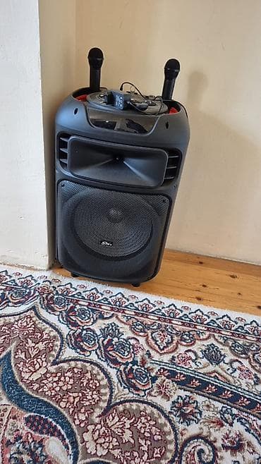 Daşınan karaoke səs sistemi – SIno ZQS1511S - Güclü aktiv akustika — 2