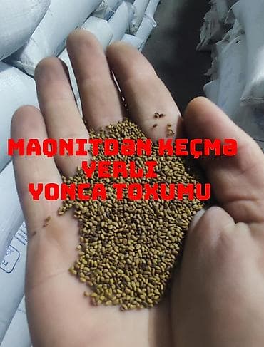 Salam əziz əkinçilər sizləri yerli və maqnitdən çıxma yonca toxumu lalafo.az -da Salam əziz əkinçilər sizləri yerli və maqnitdən çıxma yonca toxumu
