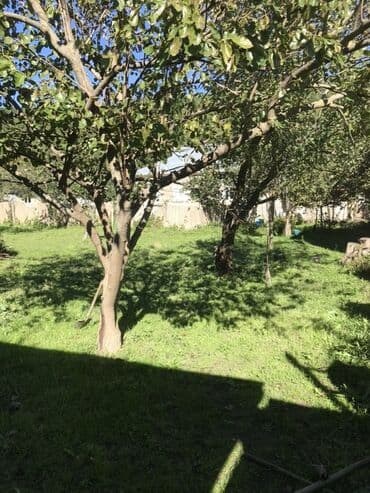 çiləgərdə ev: 5 otaqlı, 200 kv. m — 5