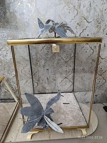 Полочные витрины: Новый — 3