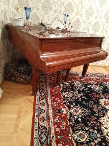 rönisch piano: Пианино, Rönisch, Акустический — 2