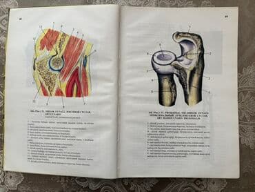 atlas koynekler: İnsan Anatomiyası Atlası Атлас анатомии человека Həm rusca, həm — 2