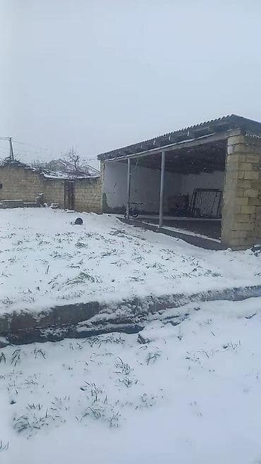 28 mayda satilan evler: 65 sot, Kənd təsərrüfatı — 4