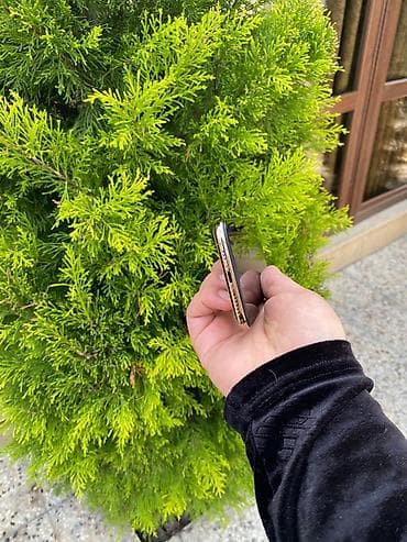 iphone telefonlar ucuz: IPhone Xs, 64 GB, Qızılı, Face ID — 6