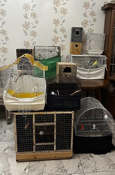 avcarka balaları: 5 azndən başlayır hər ölçüde qefes var Böyük,orda,kiçik yuvalarıda — 1