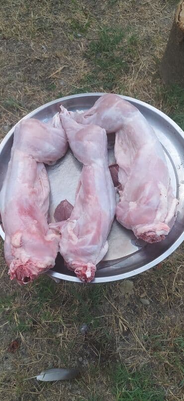 dovşan balaları: Məhsul: Təmizlənmiş dovşan cəmdəkləri Təsvir: - Şəkillərdə tam — 3