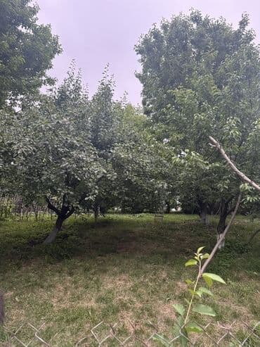 ismayıllı kirayə evlər: Для сельского хозяйства, Купчая — 3