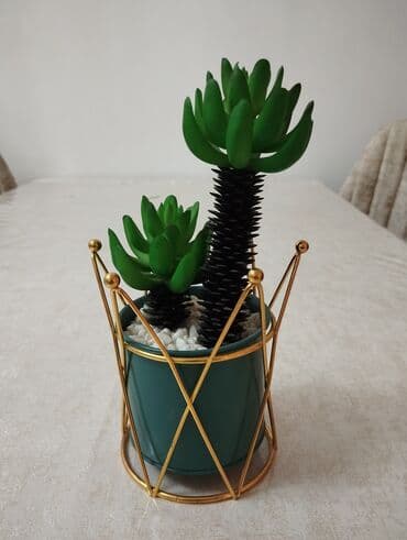 Столовая посуда: Миски, цвет - Зеленый — 2