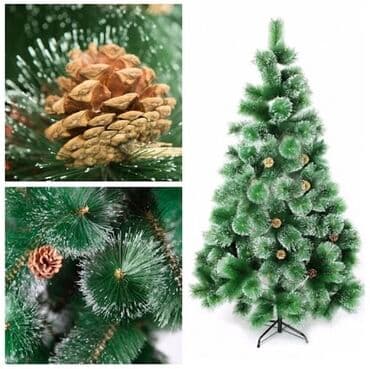 ag yolka sekilleri: Yolka — 2