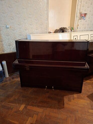 CD, DVD disklər və kassetlər: Piano, Akustik, Yeni, Pulsuz çatdırılma — 1