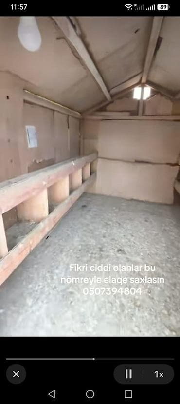 Heyvanlar: Satılır: Hündür damlı quşxana/kümes - Material: metal profilli karkas — 3