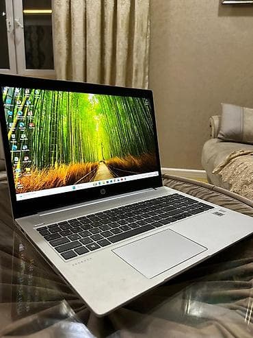 HP: HP ProBook 450 G7 noutbuku Texniki xüsusiyyətlər: - Prosessor: Intel — 1