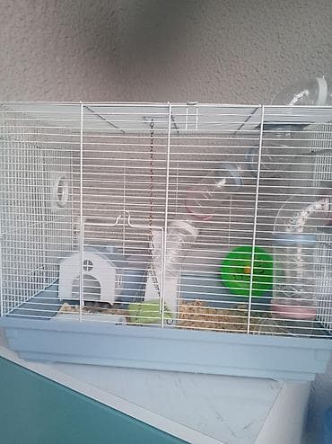 Hamster üçün tam avadanlıqla qəfəs dəsti Məhsulun tərkibi: - Metal — 7