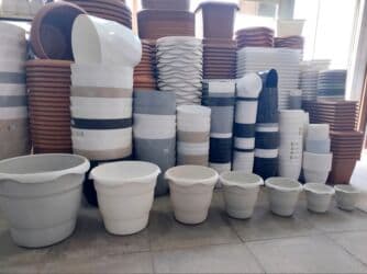 kaybolan yıllar 50: Dibcek Dibcek qabi yumru aq rengli gul.qabi yumru aq rengli dibcek — 17