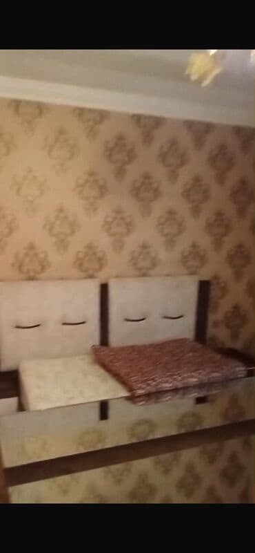 bağ yellencekleri: Şamaxı şəhəri çuxuryurd kəndi Yaşıl ağaclarla əhatələnmiş həyətyanı — 6