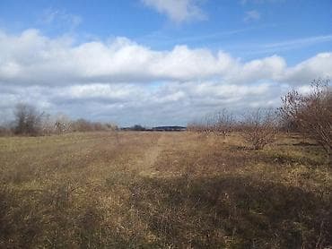 ayda torpaq satışı: 96 sot, Biznes üçün, Kupça (Çıxarış) — 2