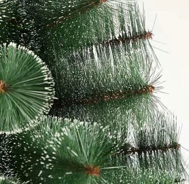 yolka ağacları: Yolka — 3