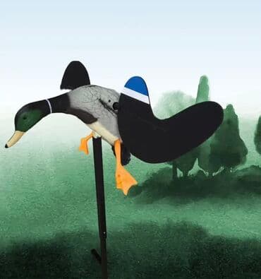 manken başı: Uçan qanadlı ördək maketi – ov və quş cəlbetməsi - Realistik mallard — 1
