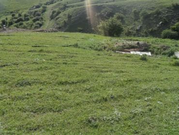 qobu yolu: 15 sot, Kənd təsərrüfatı, Mülkiyyətçi, Bələdiyyə — 2