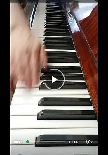 Piano, Belarus, Akustik, İşlənmiş, Ünvandan götürmə