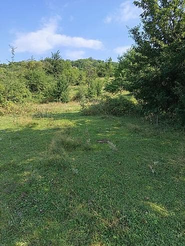 ucuz torpaq sahəsi: 17 sot, Tikinti, Maklerlər narahat etməsin, Bələdiyyə — 8