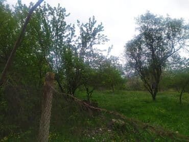 torpaq lokbatan: Yaşıl otlar və müxtəlif ağaclarla örtülmüş, yamaclı ərazidə yerləşən — 6