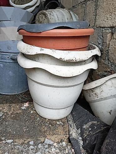 alaqanqal yağı rus dilinde: 3-5 litr həcmində plastik bitki qabları. Vəndam kəndindedir . Qiymət — 1