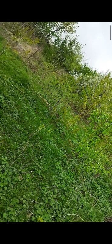 lenkeran torpaq satilir: Quba Qusar yolunun üstünde yerlewir. 12sot torpaq sahesi satilir — 3