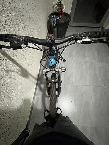 volta vs2: Catdirilma var ama pulu siz vermelisiniz problemsiz Rahat Endirim — 2