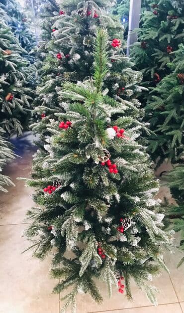 palma agaci satisi: Kremlovski yolka teze mallar 120 sm -75 man 150 sm -120 man 180 sm — 3