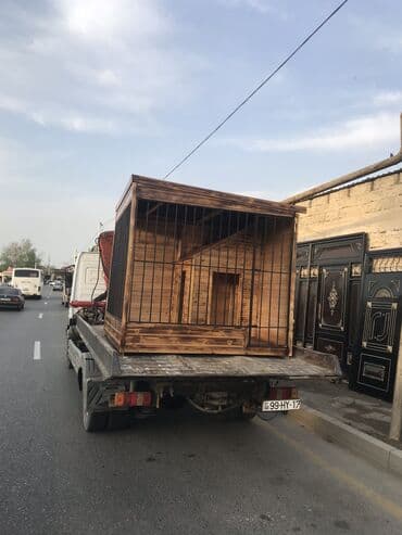 it yuvasi: It yuvasi — 2