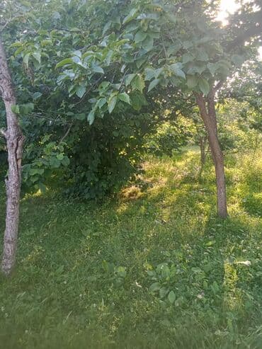xirdalanda kiraye evler kristal abseron: 20 kv. m, 3 otaqlı — 10