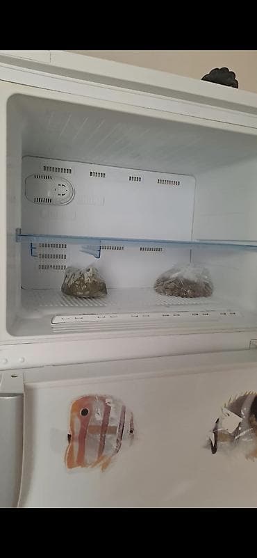 metbext ucun: 2 qapılı Beko Soyuducu Satılır, rəng - Ağ — 4