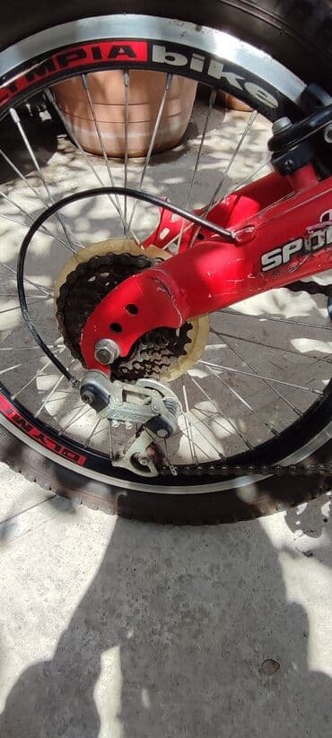 трехколесный велосипед для взрослых бишкек: Olymia firmasının istehsalıdır. bunu mən avropadan gətirmişdim çox — 6